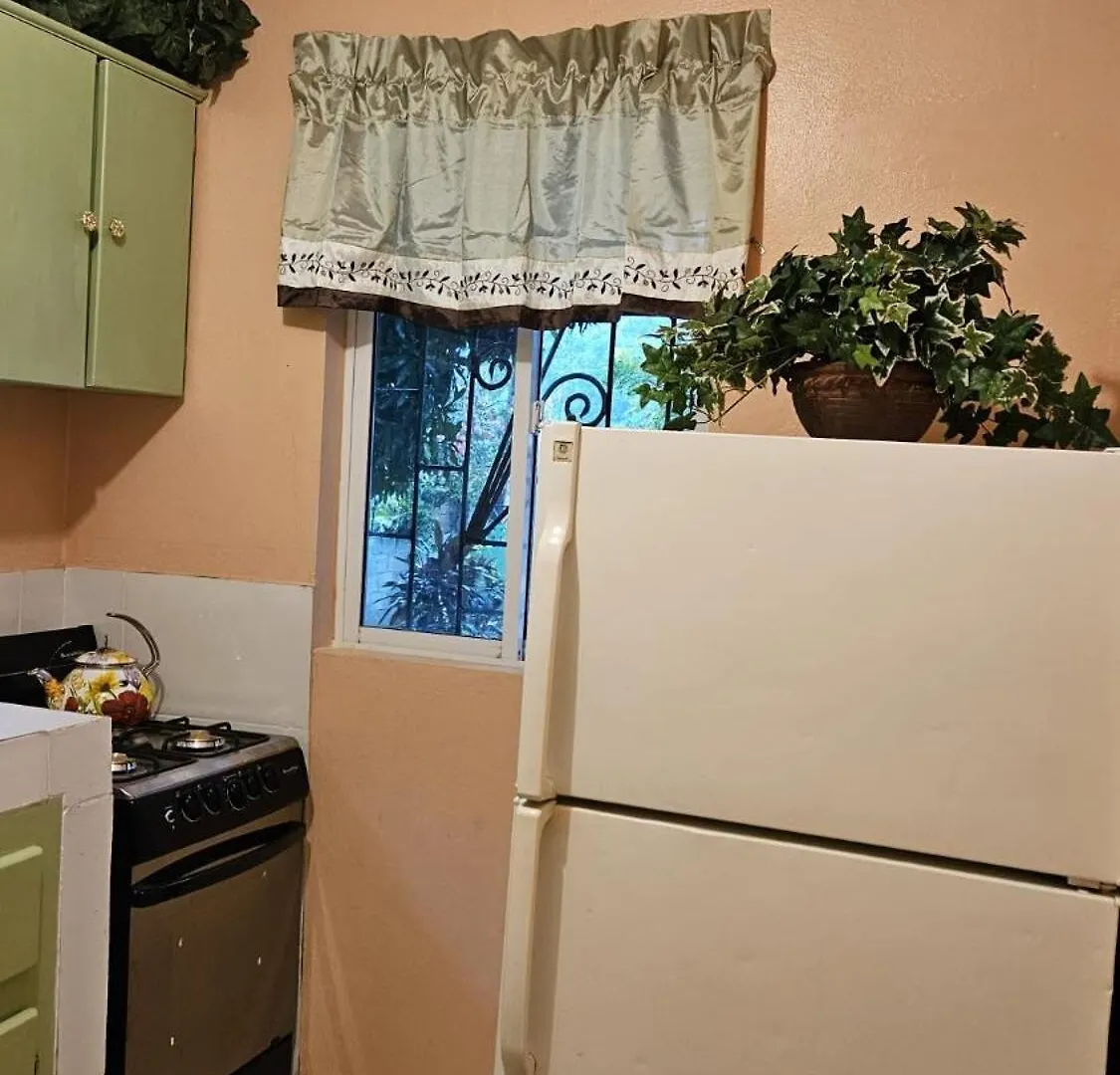 Jade Coast Getaway Near Montego Bay Apartman 0*,  Jamaica