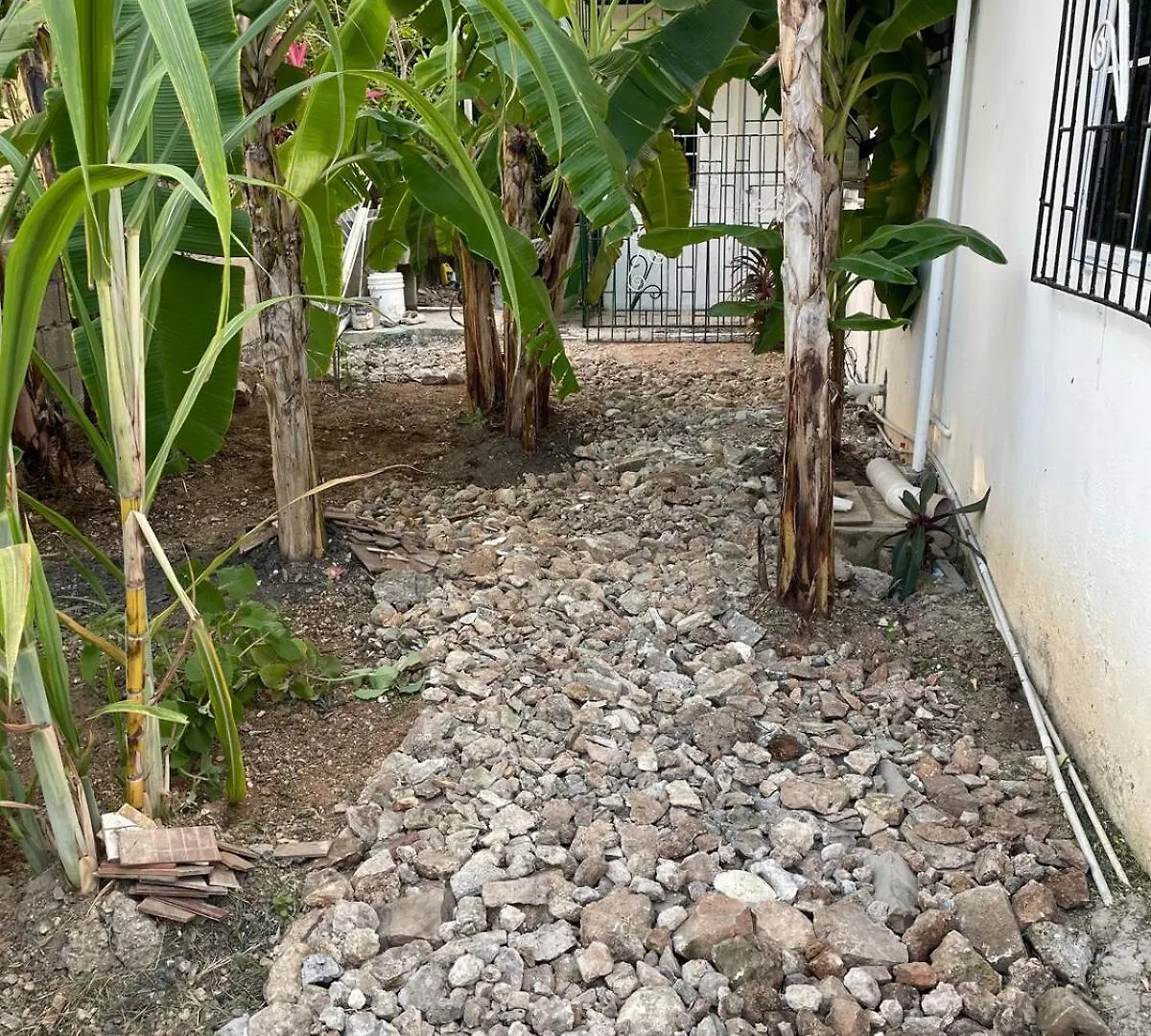 Jade Coast Getaway Near Montego Bay Apartman